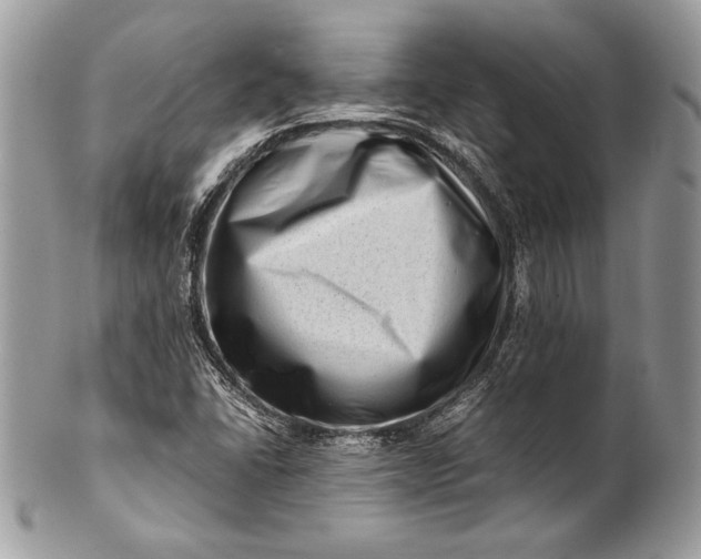 X0000100881406200807071115