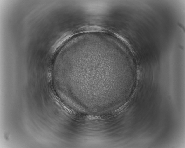 X0000100881407200807071115