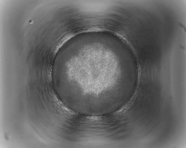 X0000100881409200807071115