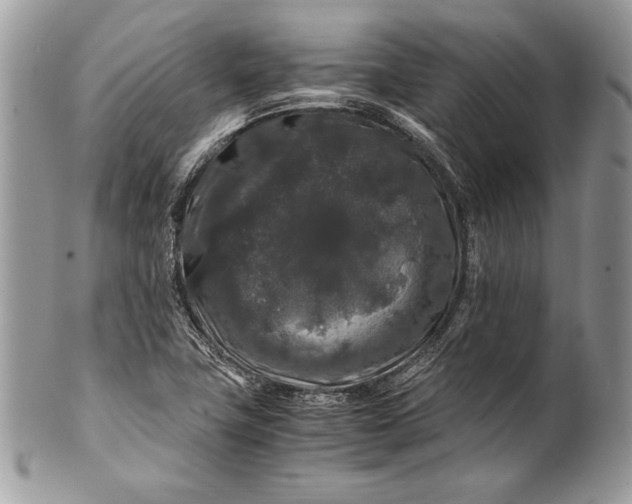 X0000100881411200807071115