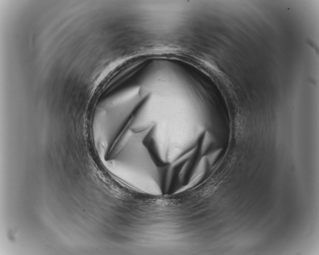 X0000100881412200807071115