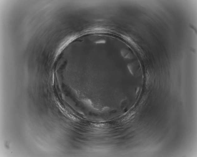 X0000100881413200807071115