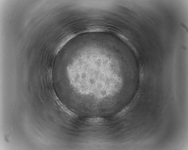 X0000100881417200807071115