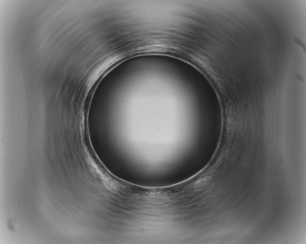 X0000100881418200807071115