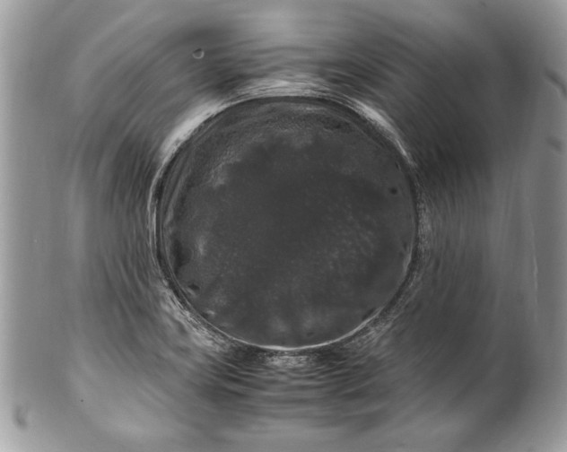 X0000100881419200807071115