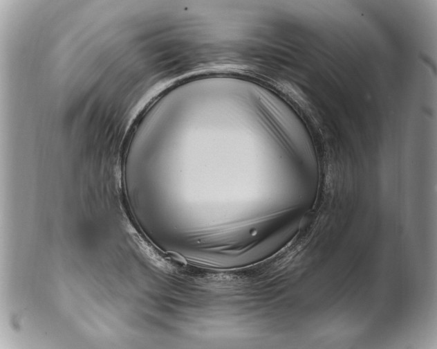 X0000100881420200807071115