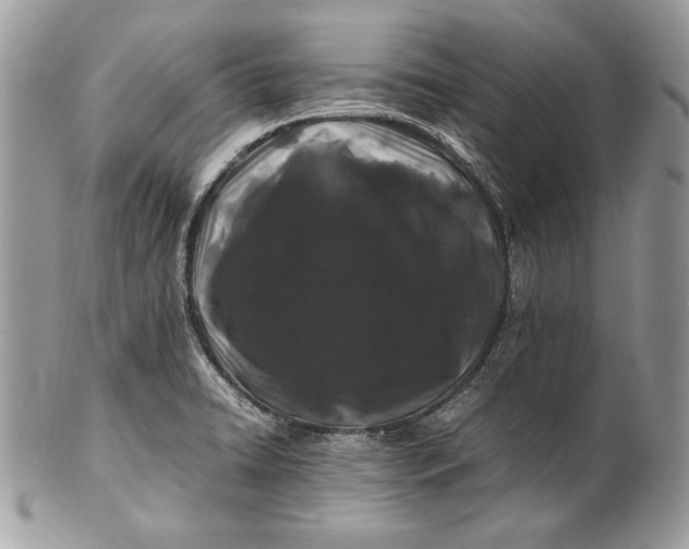 X0000100881422200807071115