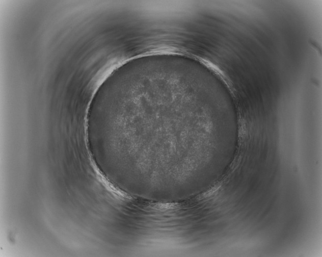 X0000100881423200807071115