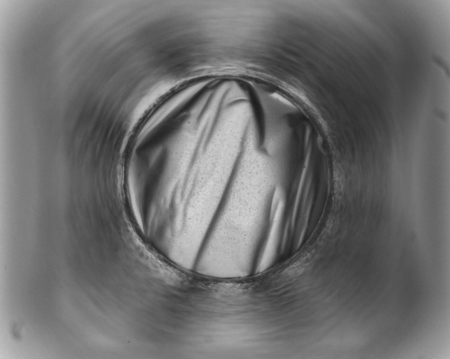 X0000100881424200807071115