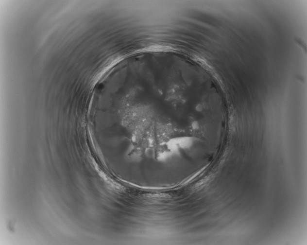 X0000100881425200807071115