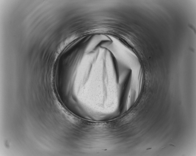 X0000100881426200807071115