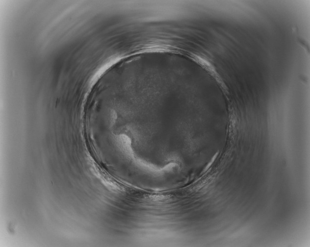 X0000100881427200807071115