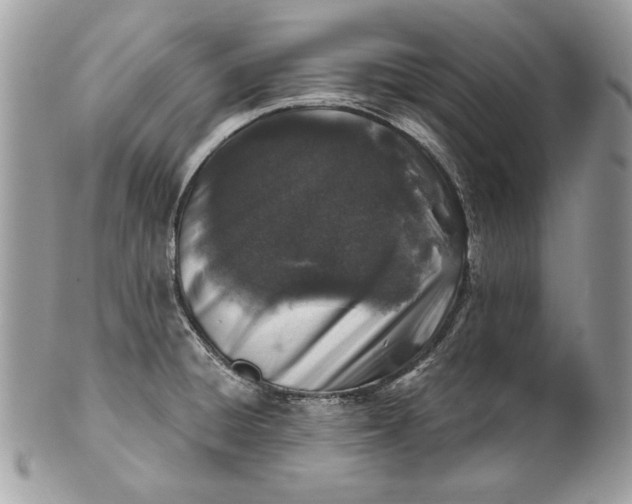 X0000100881428200807071115