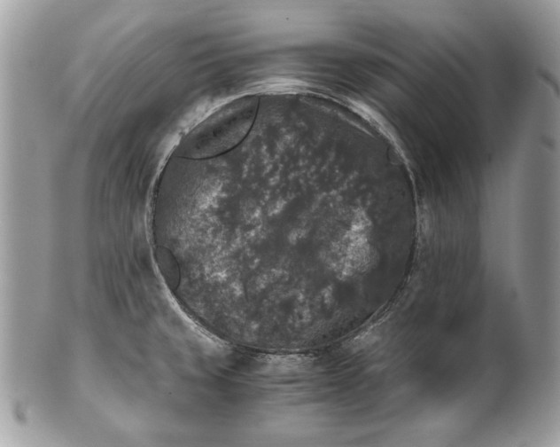 X0000100881429200807071115