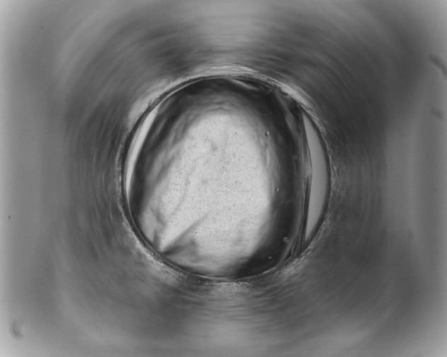 X0000100881430200807071115