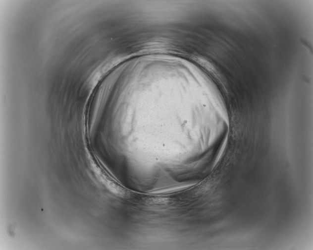 X0000100881431200807071115