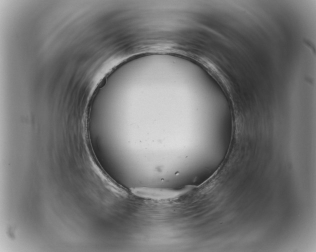 X0000100881432200807071115