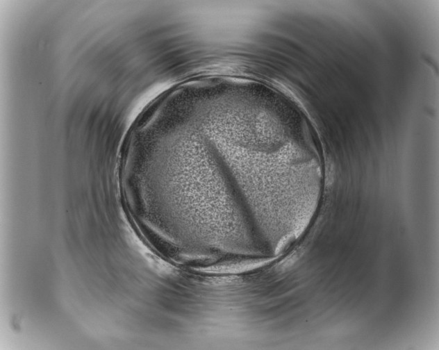 X0000100881434200807071115