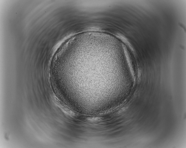 X0000100881435200807071115