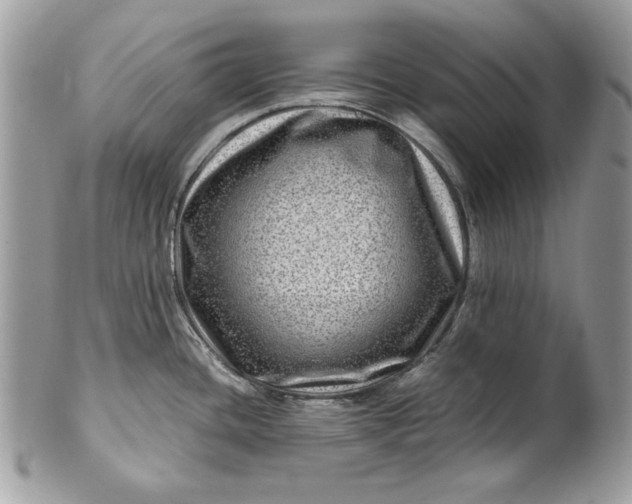 X0000100881436200807071115