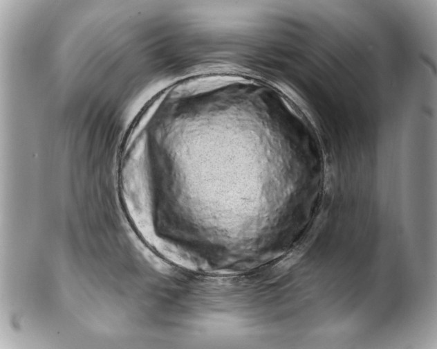 X0000100881438200807071115