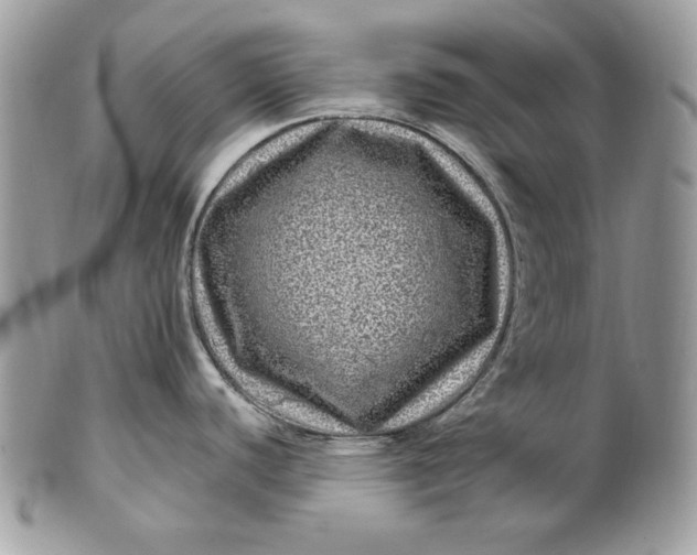 X0000100881440200807071116