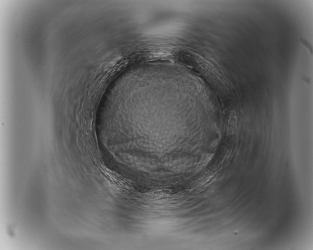 X0000100881441200807071115