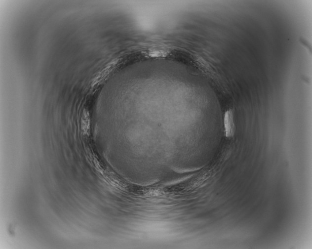 X0000100881443200807071115