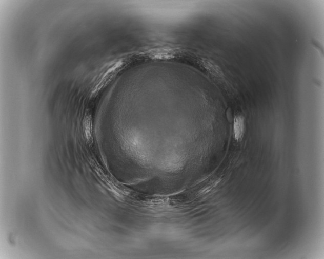 X0000100881444200807071115