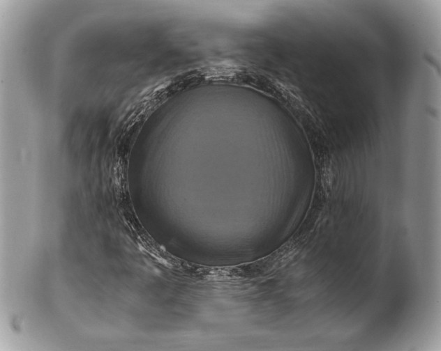 X0000100881445200807071115