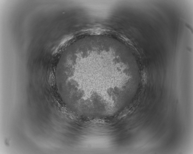 X0000100881446200807071115