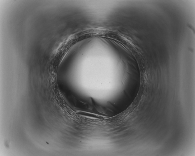 X0000100881447200807071115