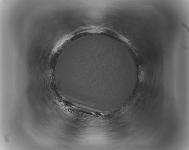 X0000100881448200807071115