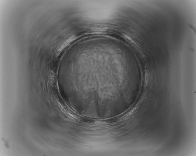 X0000100881449200807071115