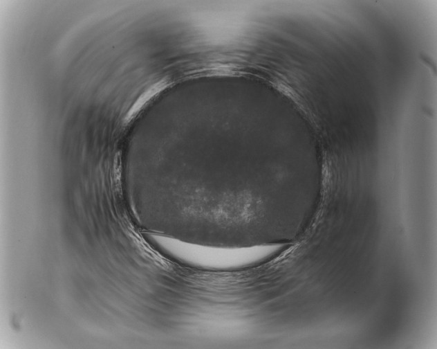 X0000100881450200807071115