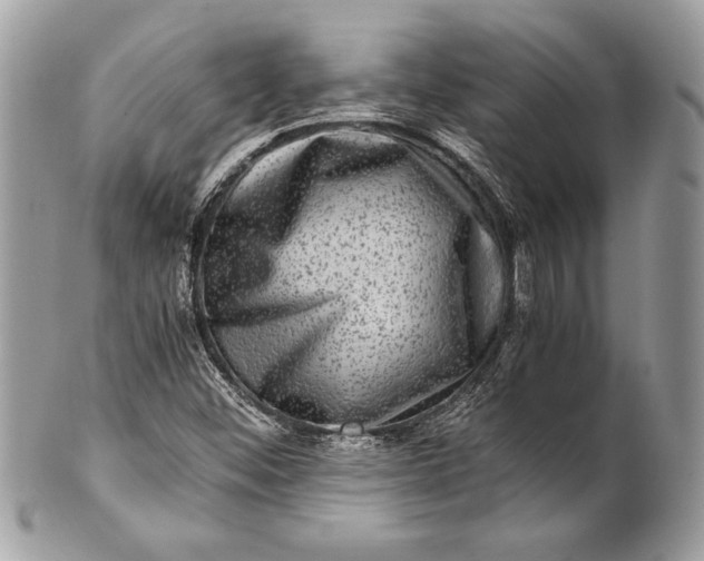 X0000100881452200807071115