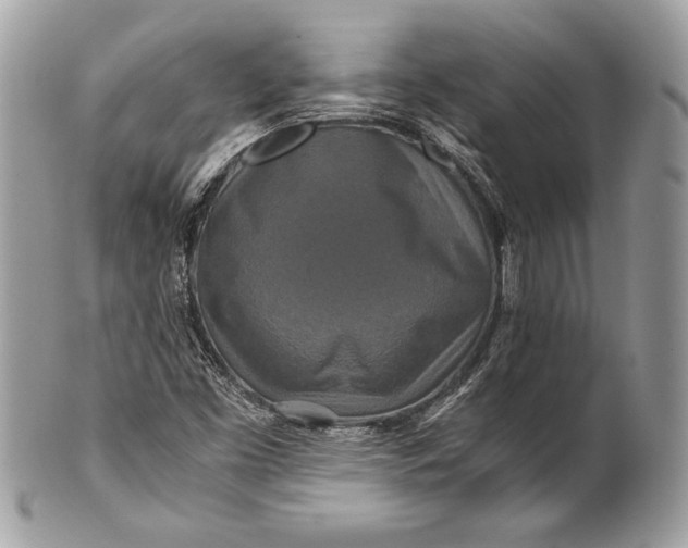 X0000100881453200807071115