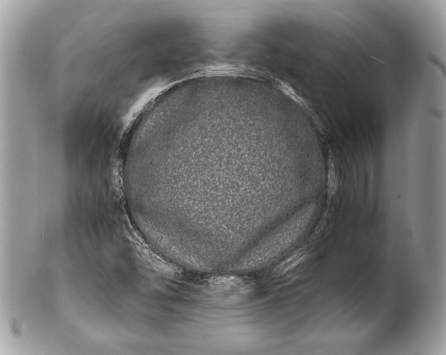 X0000100881454200807071115