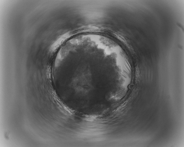 X0000100881455200807071114