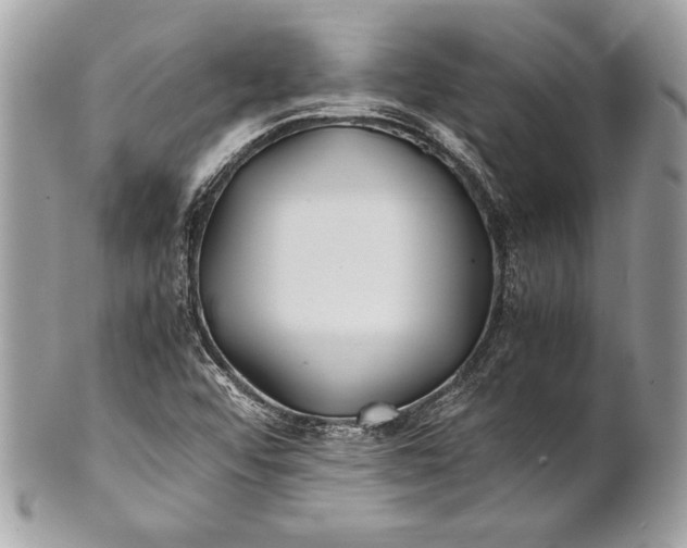 X0000100881456200807071114