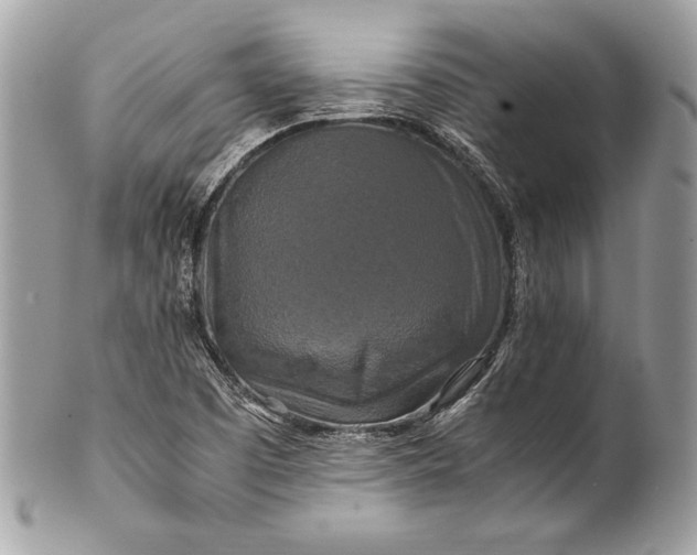 X0000100881457200807071114