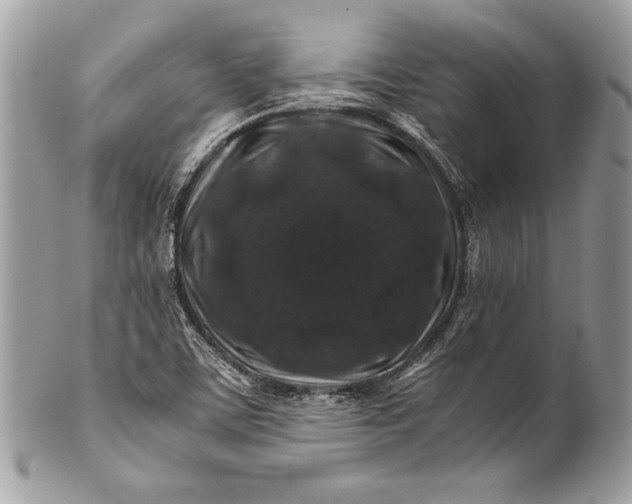 X0000100881459200807071114