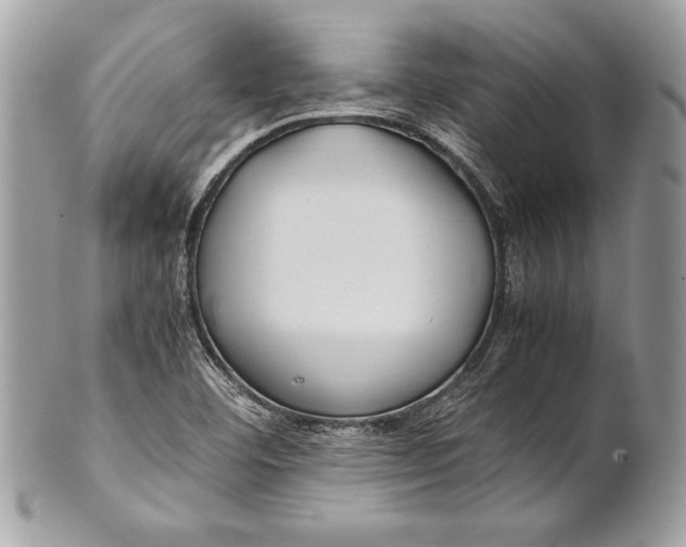 X0000100881460200807071114