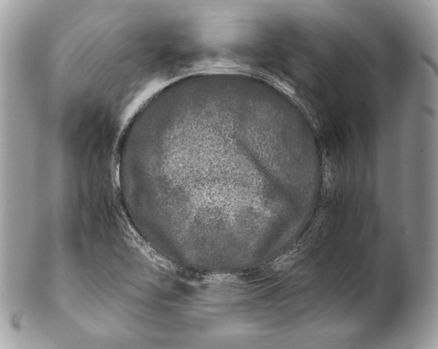 X0000100881462200807071114