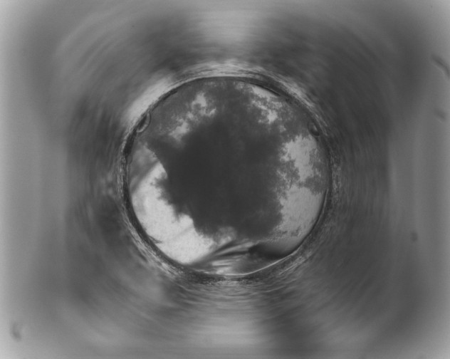 X0000100881463200807071114