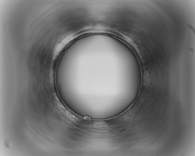 X0000100881464200807071114