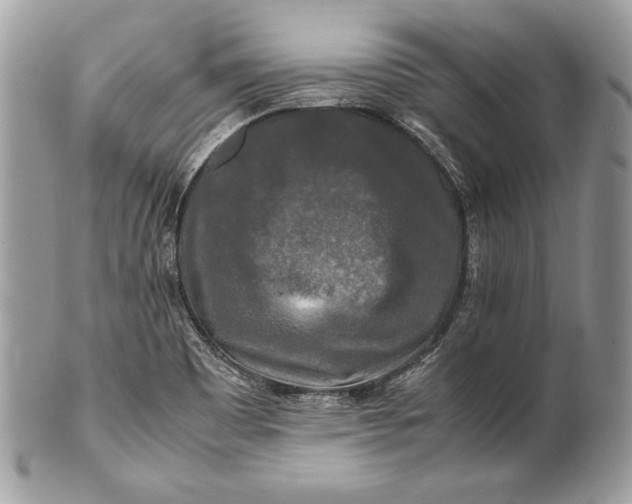 X0000100881465200807071114