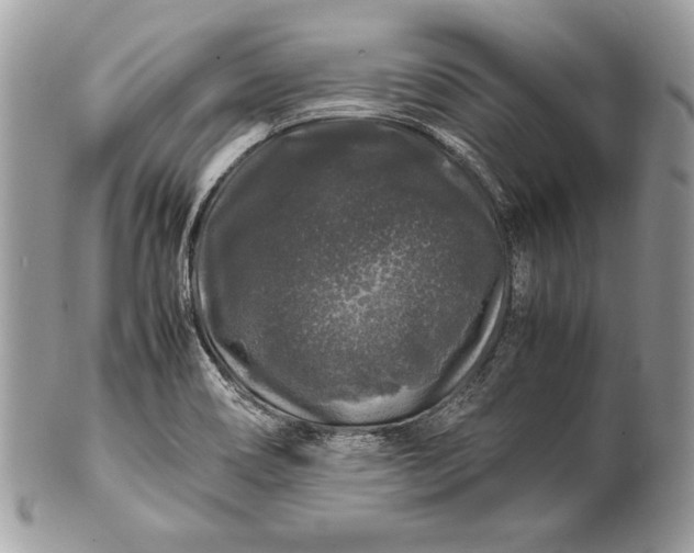 X0000100881466200807071114