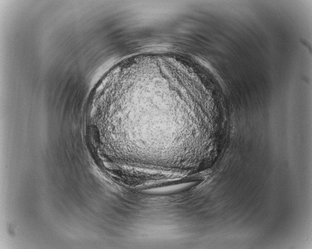 X0000100881467200807071114