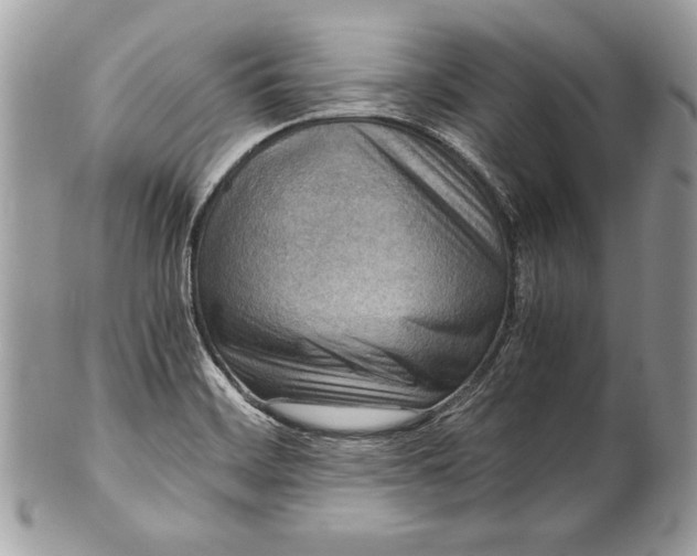 X0000100881468200807071114